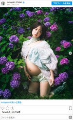 峯岸みなみ、マタニティフォトを披露　※「峯岸みなみ」インスタグラム