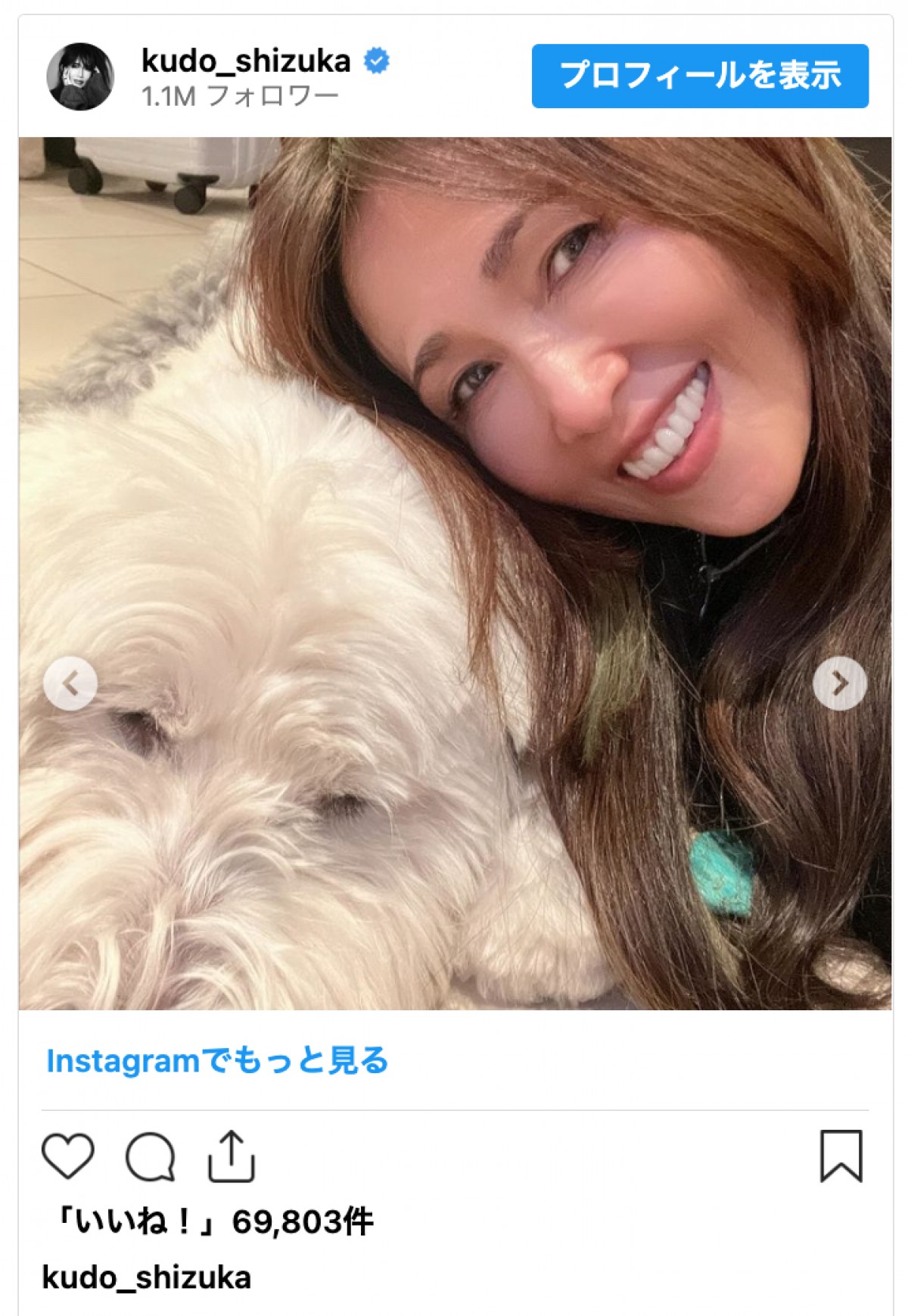 工藤静香、愛犬との最後の日々を振り返る「家族の為に生きていてくれている」