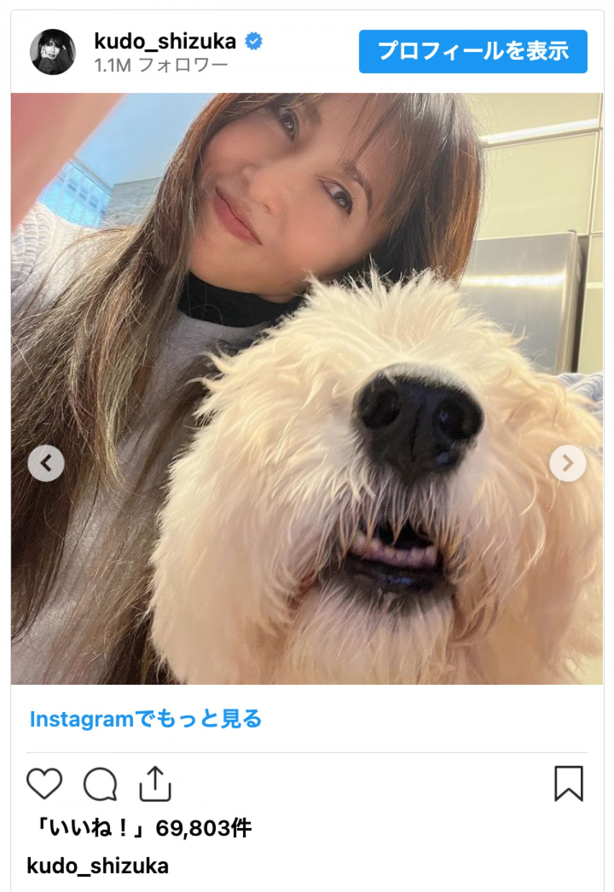 工藤静香、愛犬との最後の日々を振り返る「家族の為に生きていてくれている」