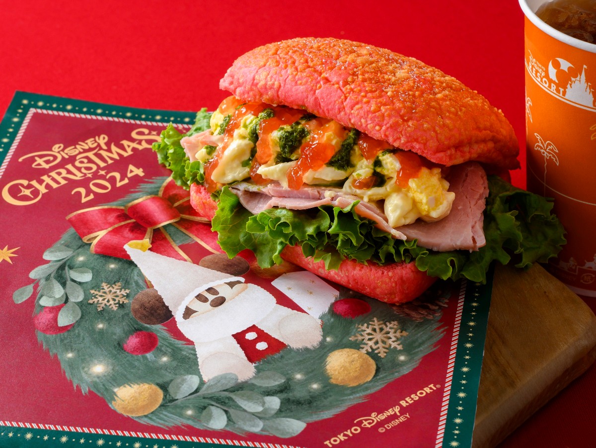 20240913_ディズニー・クリスマス