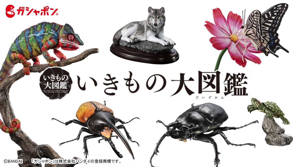 「ガシャポン文化祭2024」20240918