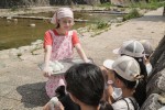 連続テレビ小説『おむすび』第50回より
