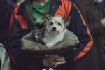 映画『プロジェクト・サイレンス』メイキング写真