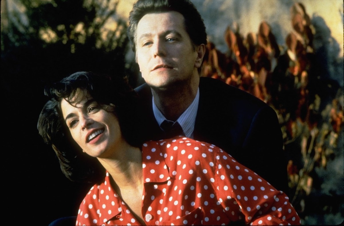 あなたは──どちらの《悪女》に堕とされる!? 　90年代傑作”悪女”スリラー『蜘蛛女』『冷たい月を抱く女』初ブルーレイ化