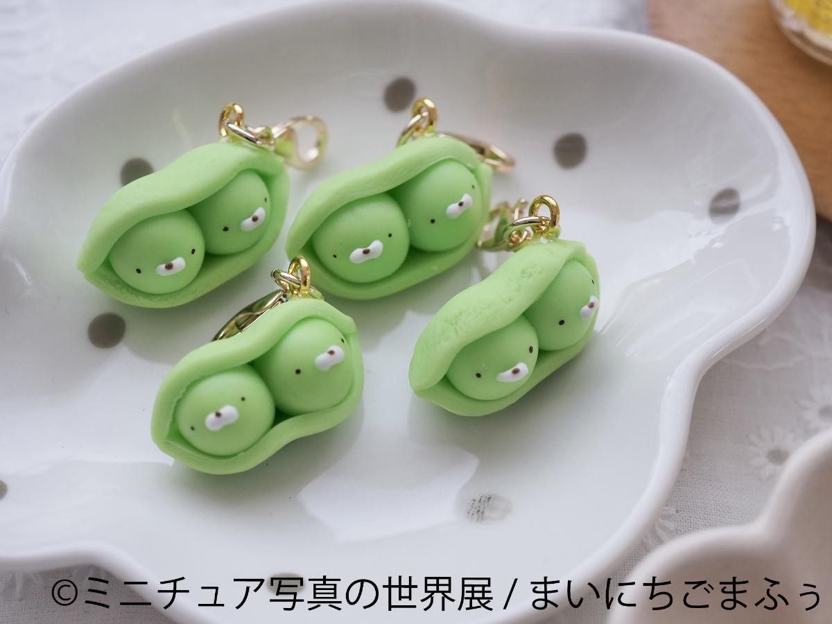 202050312「ミニチュア写真の世界展 2025」