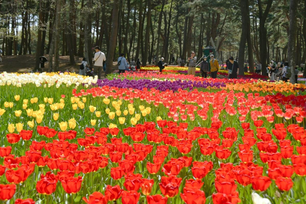 20250314「Flowering2025」