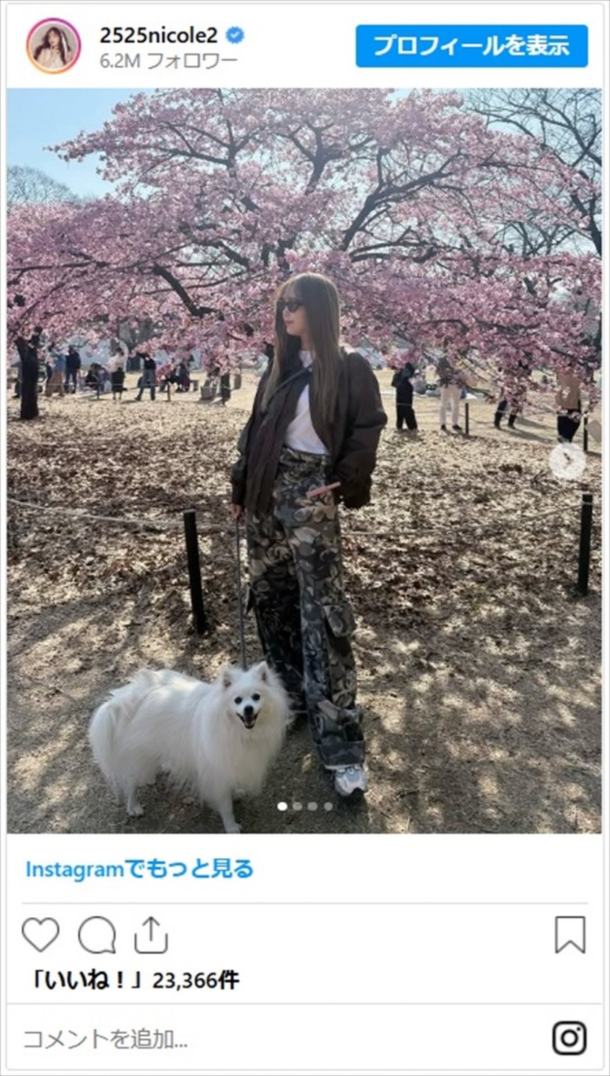 藤田ニコル、かわいいコーデで愛犬とおでかけ「そのコーデタイプ」「大谷翔平宅のデコピンみたい」