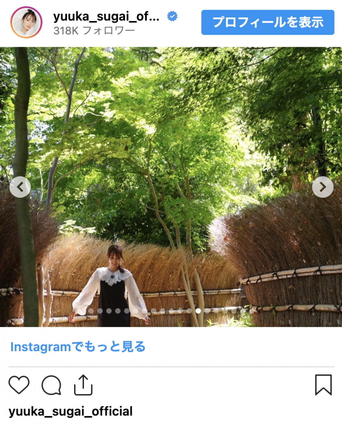 菅井友香、1年間のナビゲーター活動に幕　笑顔あふれる思い出ショットで振り返る“東京の魅力”