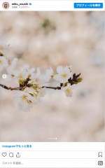 日向坂46・金村美玖の花見ショット　※「金村美玖」インスタグラム