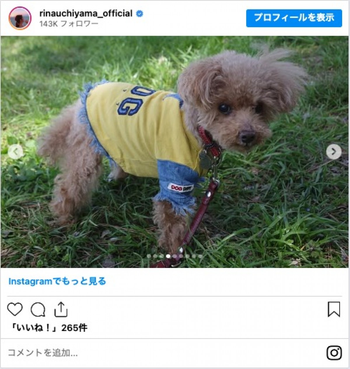 内山理名「桜を見に家族でピクニック」　夫は吉田栄作　“手作り弁当”も披露
