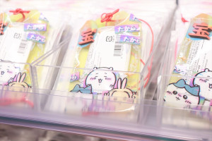 20250424_「キデイランド新宿店」内覧会