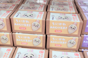 20250424_「キデイランド新宿店」内覧会