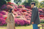 『花まんま』場面写真