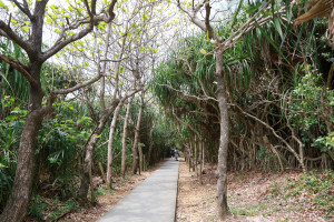 20250418 宮古島