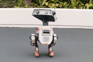 20250407_東京ディズニーランドにドロイド「BDX」が新登場！