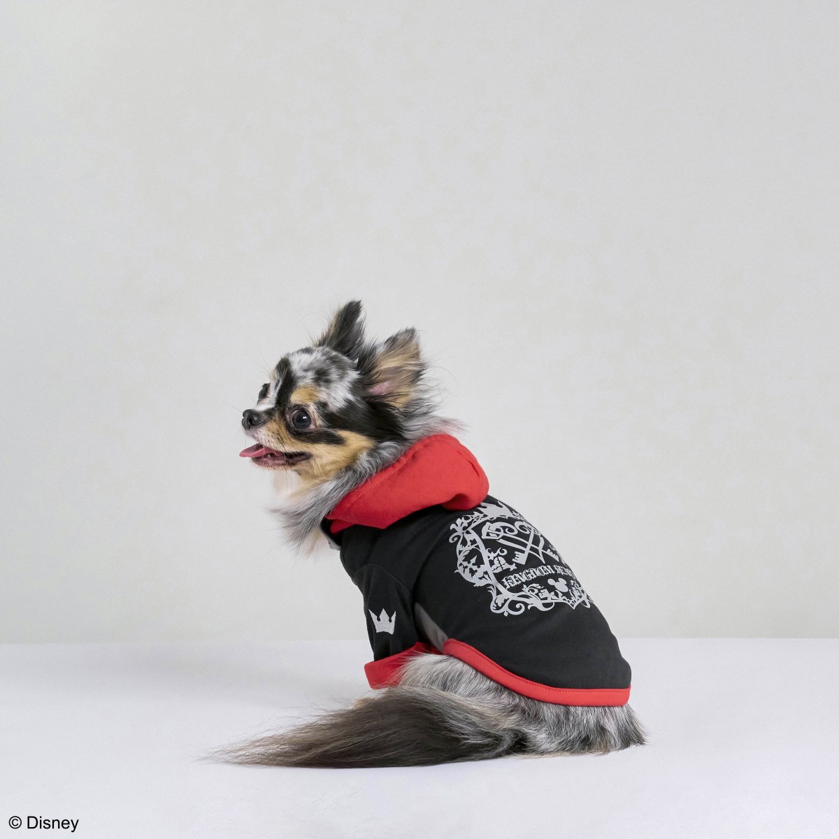 『KINGDOM HEARTS PETs』ペットグッズ＿20250403