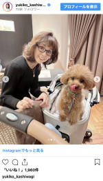愛犬と癒やしのひと時を過ごす柏木由紀子　※「柏木由紀子」インスタグラム