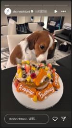 大谷翔平、愛犬・デコピンの2歳の誕生日をケーキでお祝い　※「大谷翔平」インスタグラム