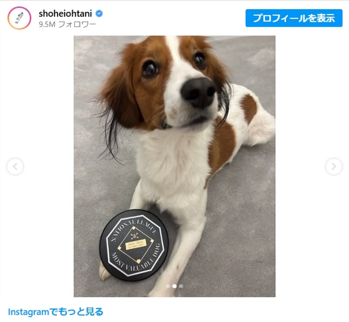 大谷翔平＿デコピン誕生日＿20250514