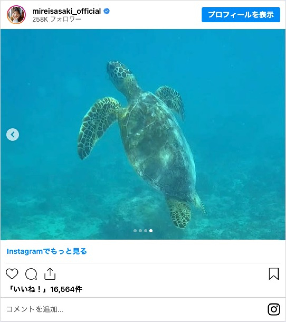 日向坂46卒業の佐々木美玲、ハワイを満喫「ハワイと金髪が似合いすぎ」と反響