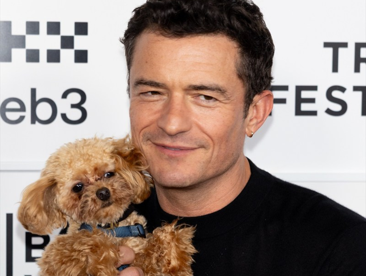オーランド・ブルーム、トライベッカ映画祭に愛犬と登場