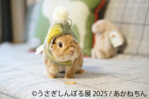 東京で「うさぎしんぼる展」開催へ！　9周年は過去最大規模の展示＆豪華クリエイターが集結