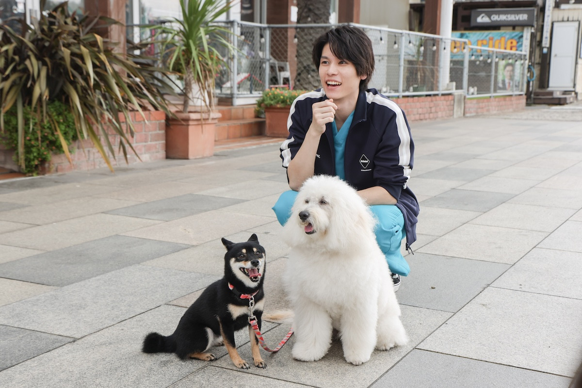 『初恋DOGs』第9話　“愛子”清原果耶、“快”成田凌を助けるための行動が事務所追放の危機に発展