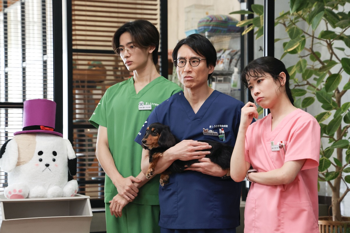 『初恋DOGs』第6話　“愛子”清原果耶、好意を打ち明けるも“快”成田凌は謎の行動