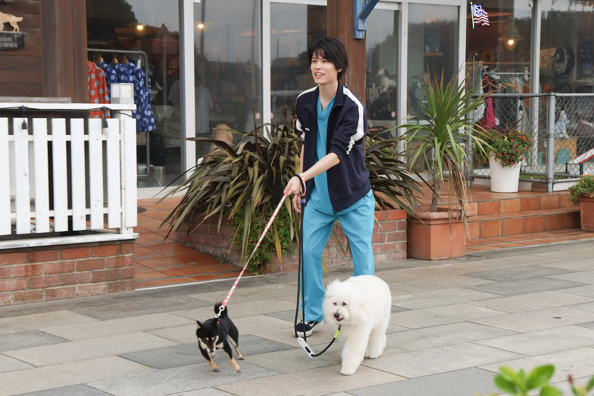 『初恋DOGs』第9話　“愛子”清原果耶、“快”成田凌を助けるための行動が事務所追放の危機に発展