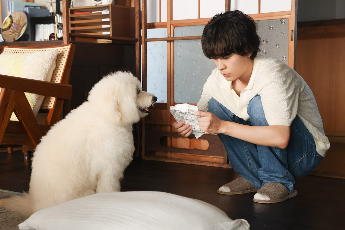 『初恋DOGs』「負け犬だ」“ソハ”ナ・イヌの言葉に“快”成田凌あ然　ネットも動揺「心にもないことを…」