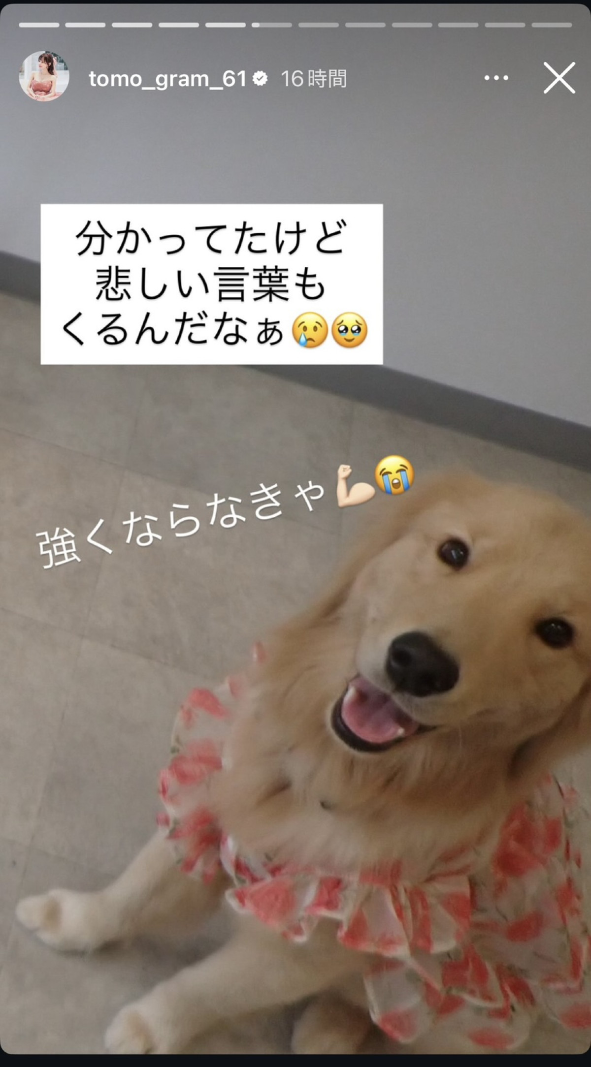 20250904_うんとも