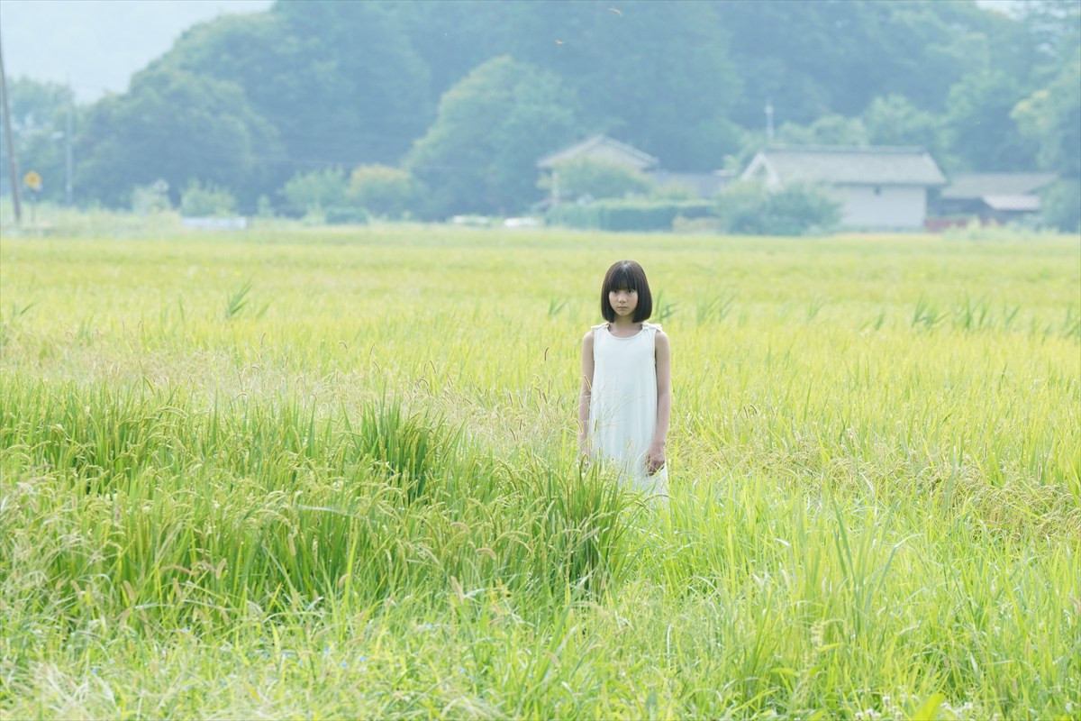 水上恒司×山下美月×宮舘涼太『火喰鳥を、喰う』、怒とうの展開を予感させるロング予告&不安をあおる新カット解禁
