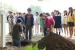 ドラマ『良いこと悪いこと』場面写真