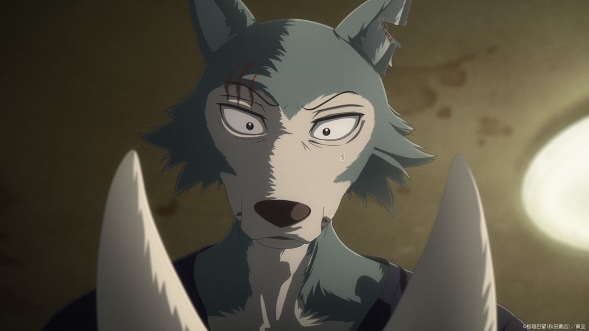 『BEASTARS FINAL SEASON』Part2、衝撃のクライマックスの予感！　ファーストルック4点公開