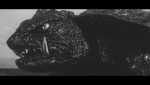 『大怪獣ガメラ』HD