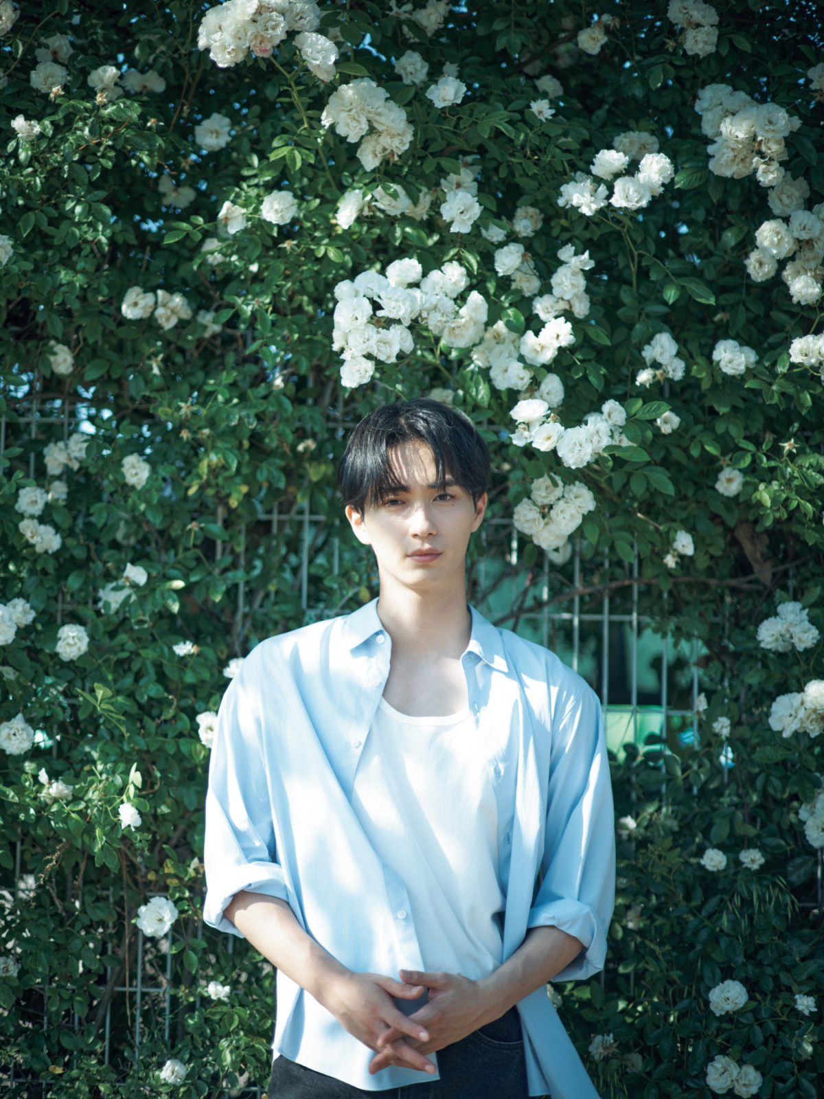 202511野村康太インタビュー