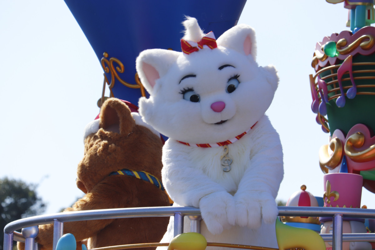 20251110 ディズニー・クリスマス