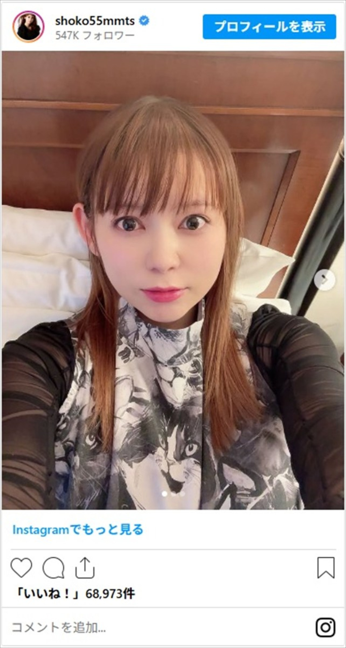 双子出産で話題の中川翔子、プロレベルのイラストで子育て絵日記を公開「わかりみ深すぎ」「本にして販売してほしいです」