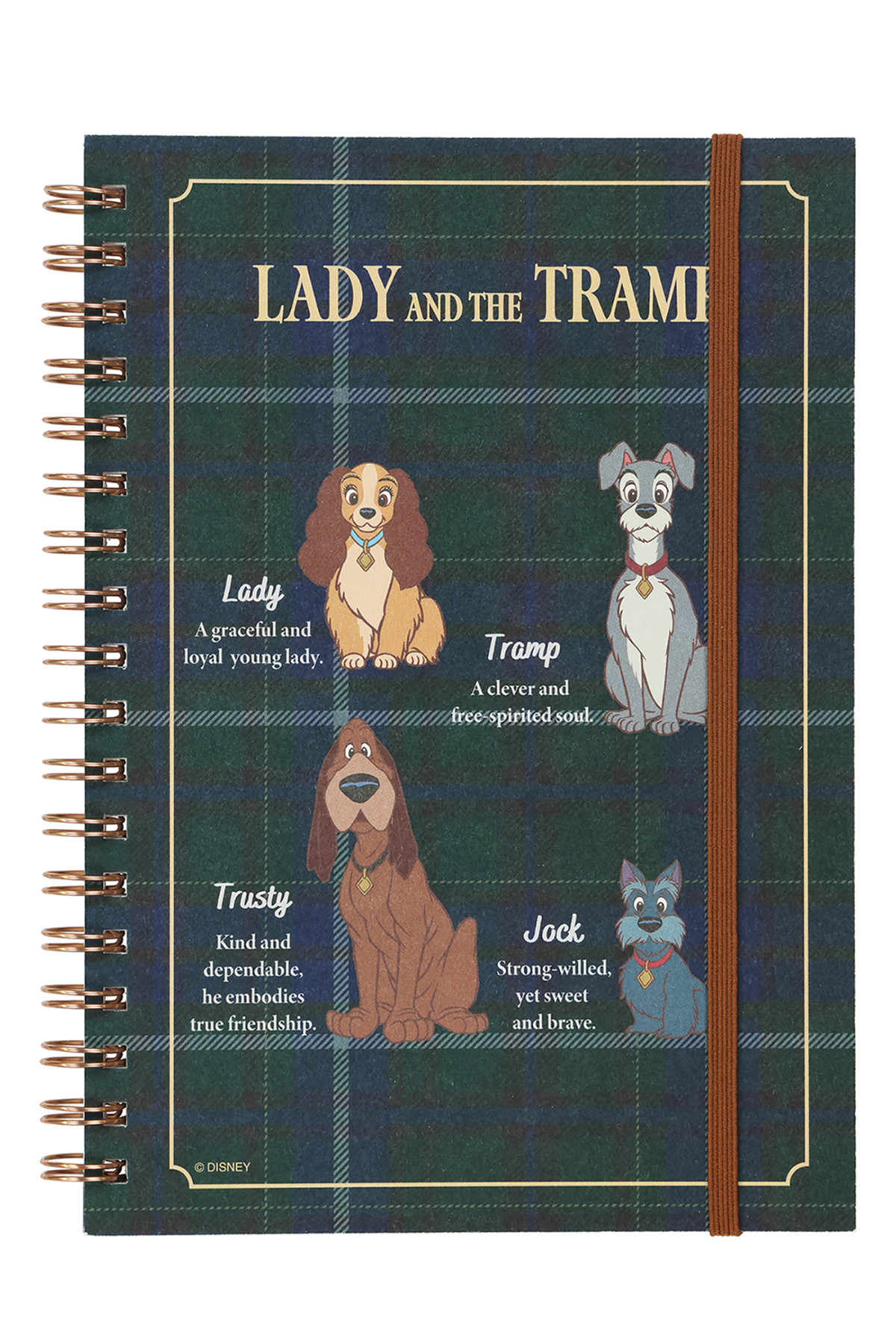 20251125 わんわん物語