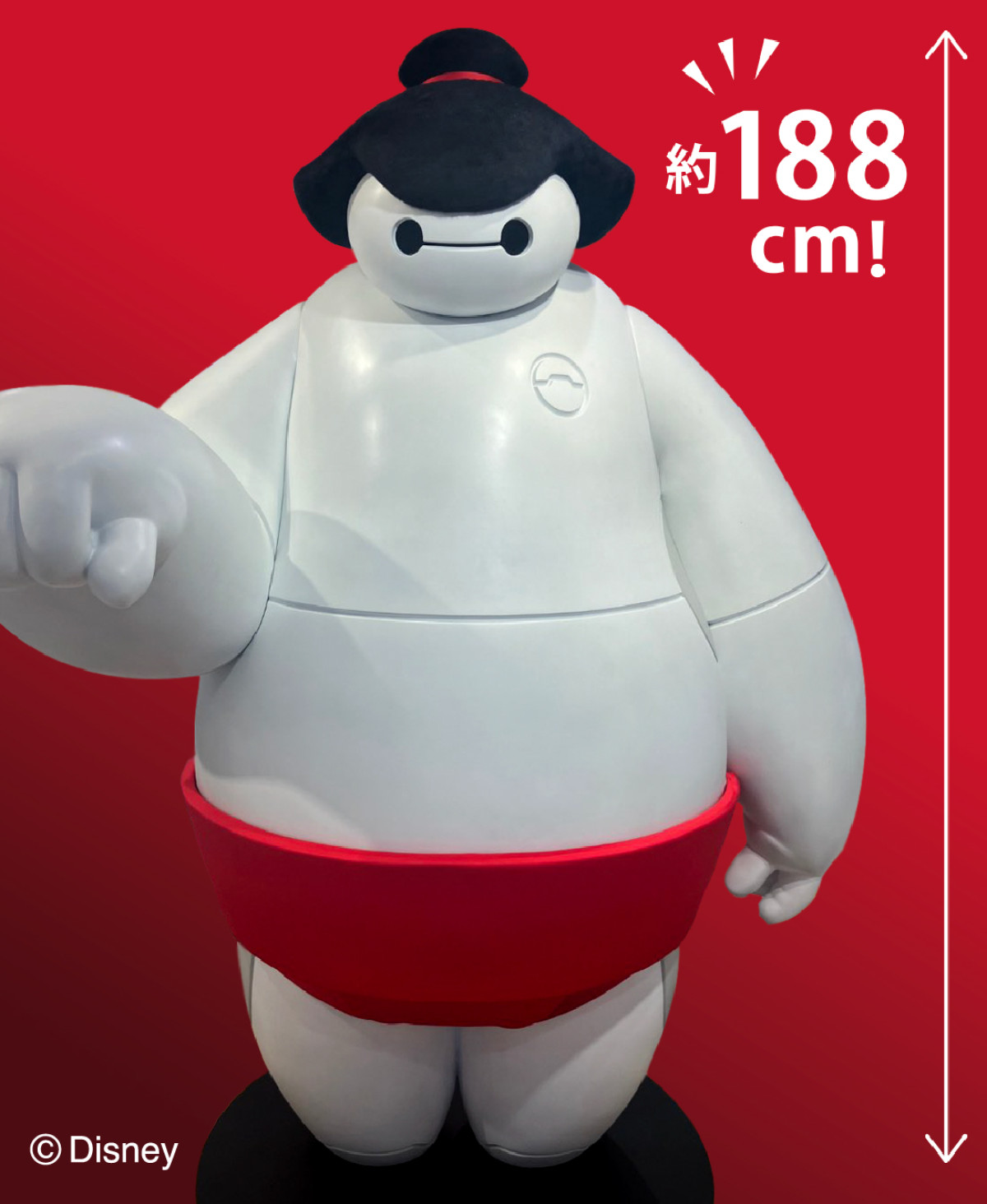 20251211_ベイマックス