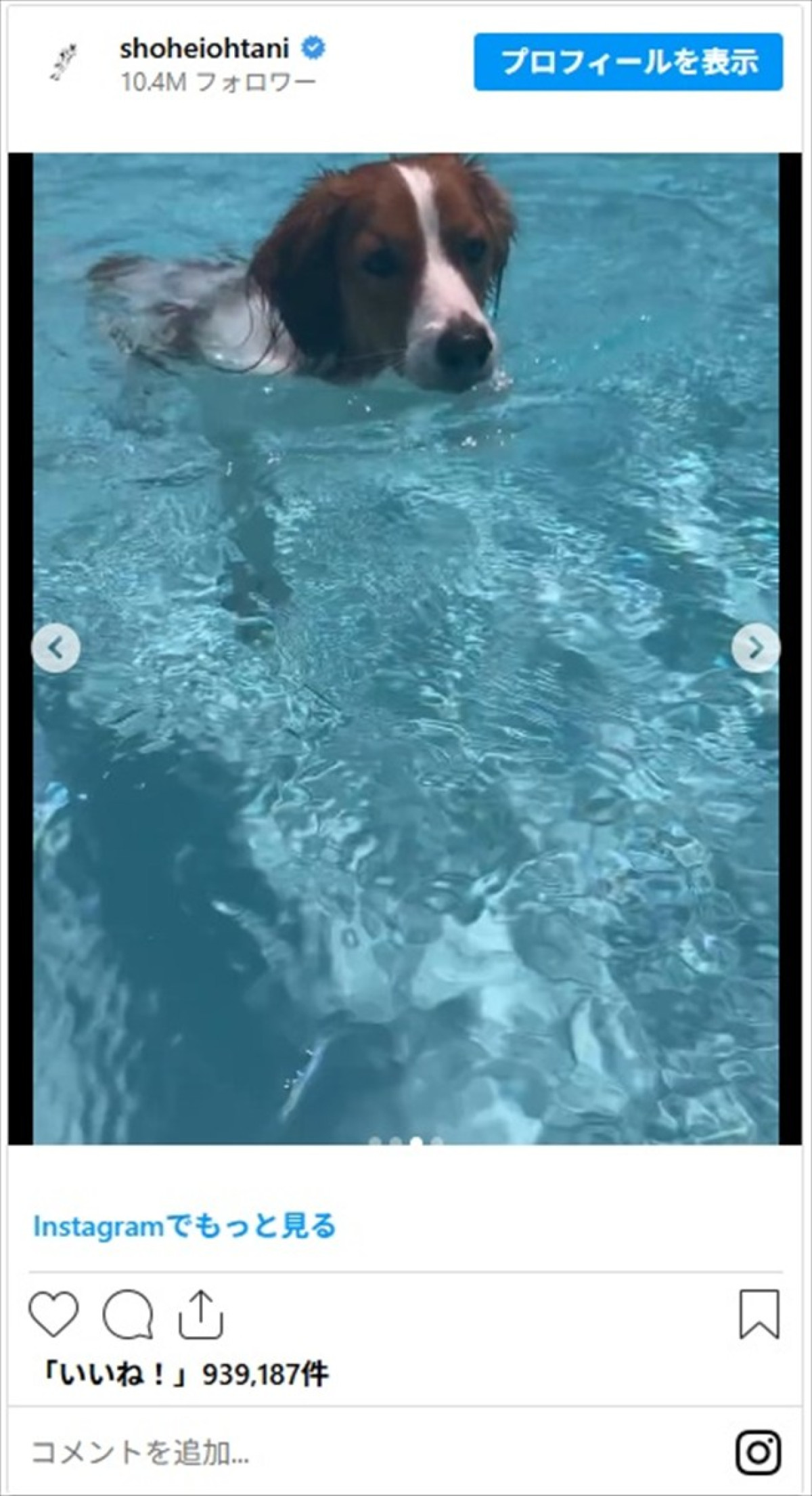 素敵な夫婦2ショやかわいい愛犬デコピンも　大谷翔平インスタに話題騒然「ワクワクが止まりません」「日本でも発売して欲しい」