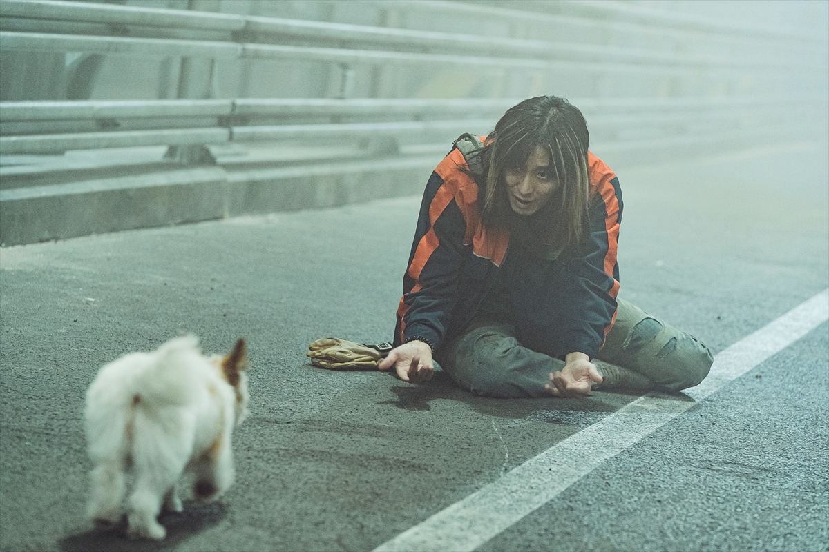 韓国パニック『プロジェクト・サイレンス』、犬の安否判明！　キュートな場面写真＆メイキングカット公開