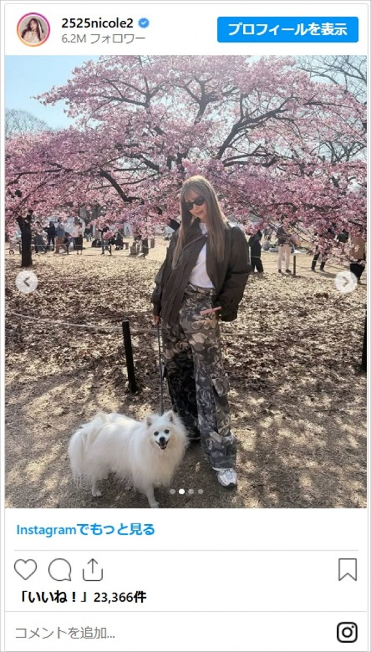 藤田ニコル、かわいいコーデで愛犬とおでかけ「そのコーデタイプ」「大谷翔平宅のデコピンみたい」