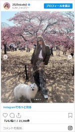 藤田ニコル、かわいい愛犬とおでかけ　※「藤田ニコル」インスタグラム