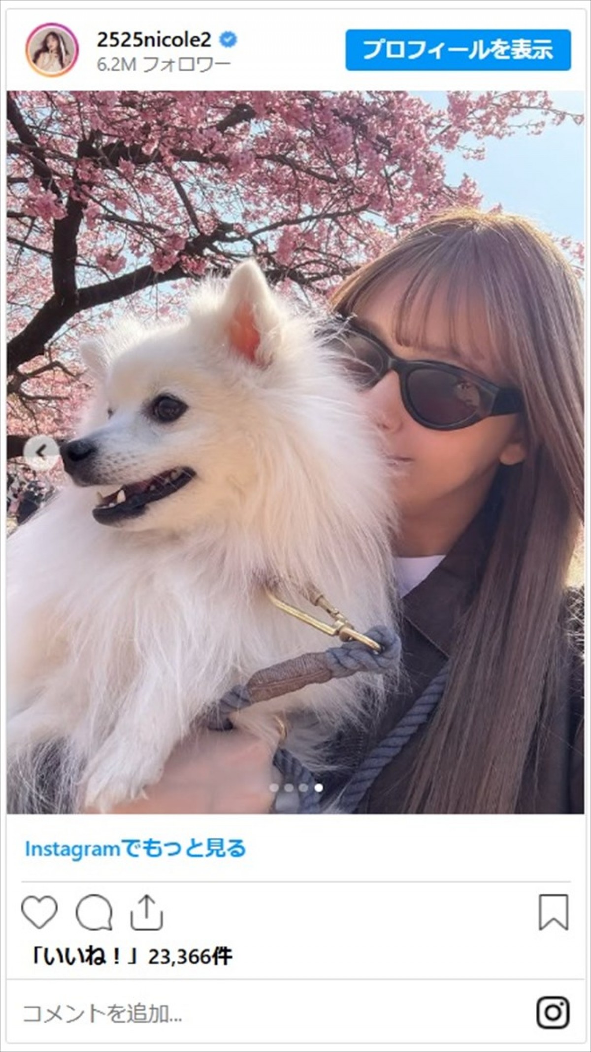 藤田ニコル、かわいいコーデで愛犬とおでかけ「そのコーデタイプ」「大谷翔平宅のデコピンみたい」