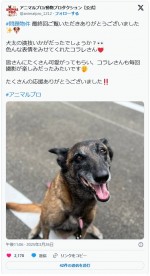 『問題物件』犬太を演じたコラレにねぎらいの声 「おつかれさま」「名演技でした」「毎週癒されたよ」