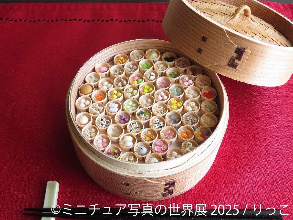 202050312「ミニチュア写真の世界展 2025」