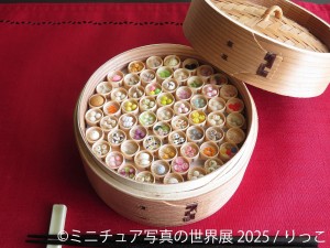 202050312「ミニチュア写真の世界展 2025」
