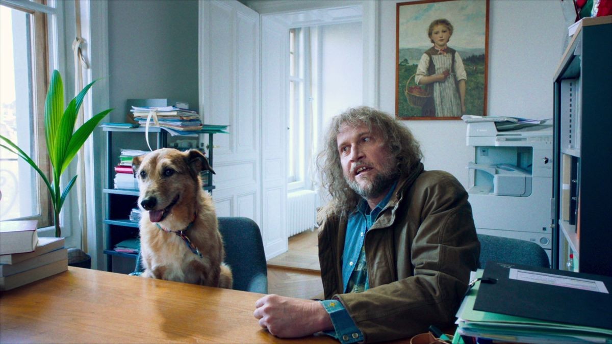 被告人ならぬ被告犬の彼は“無罪”か“有罪”か？　カンヌ映画祭”パルム・ドッグ賞”受賞『犬の裁判』予告＆場面写真解禁