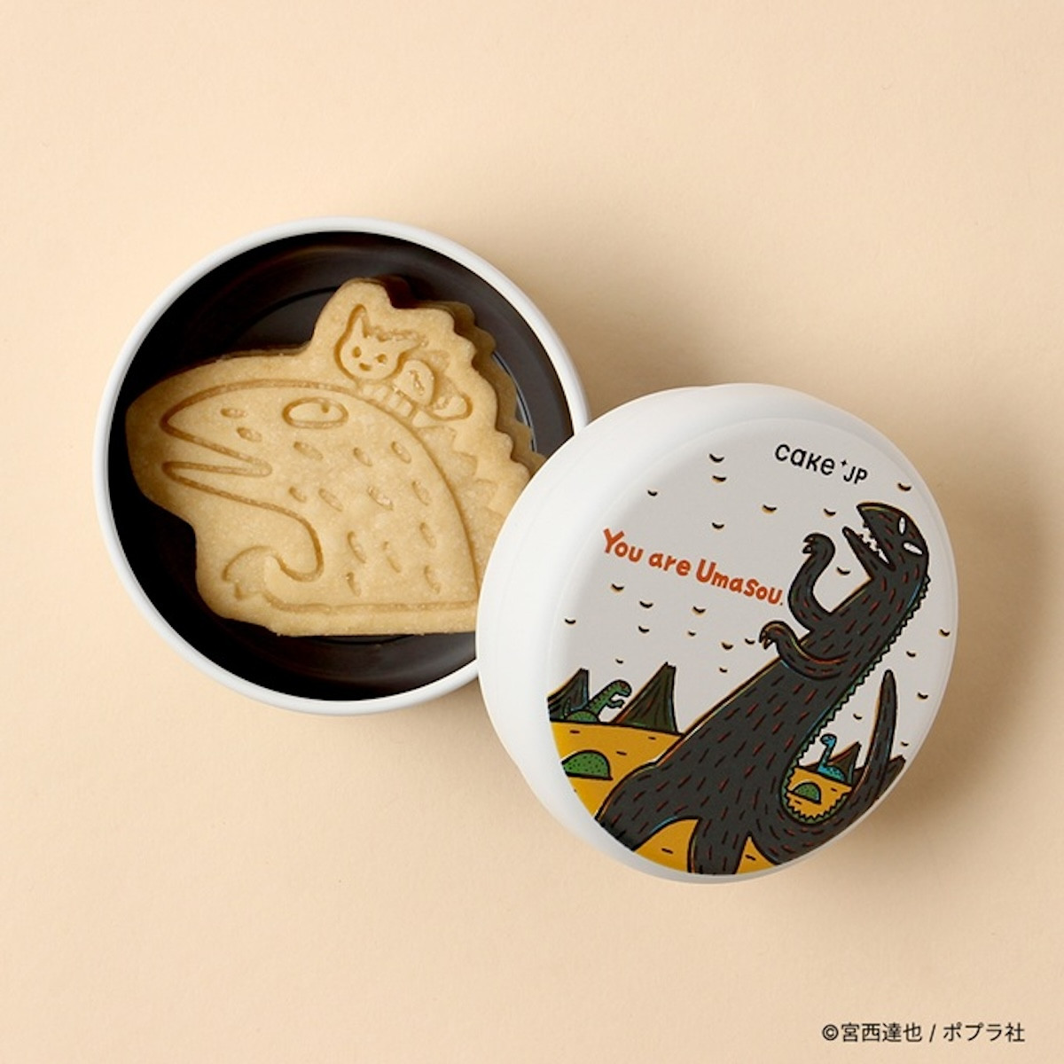 2025.5.7_名作絵本のクッキー缶